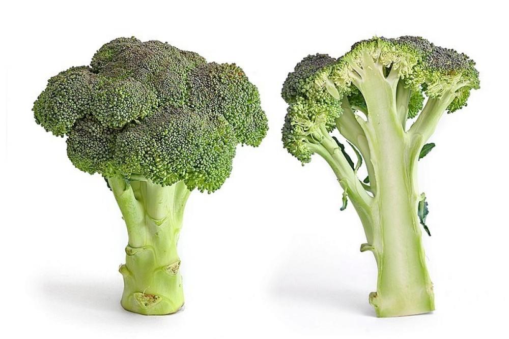 The Weekend Leader - Broccoli, leafy greens can help slow growth of Covid, flu